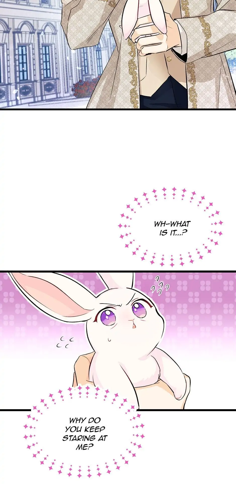 Read The Symbiotic Relationship Between the Rabbit and the Black Panther En Manga Online