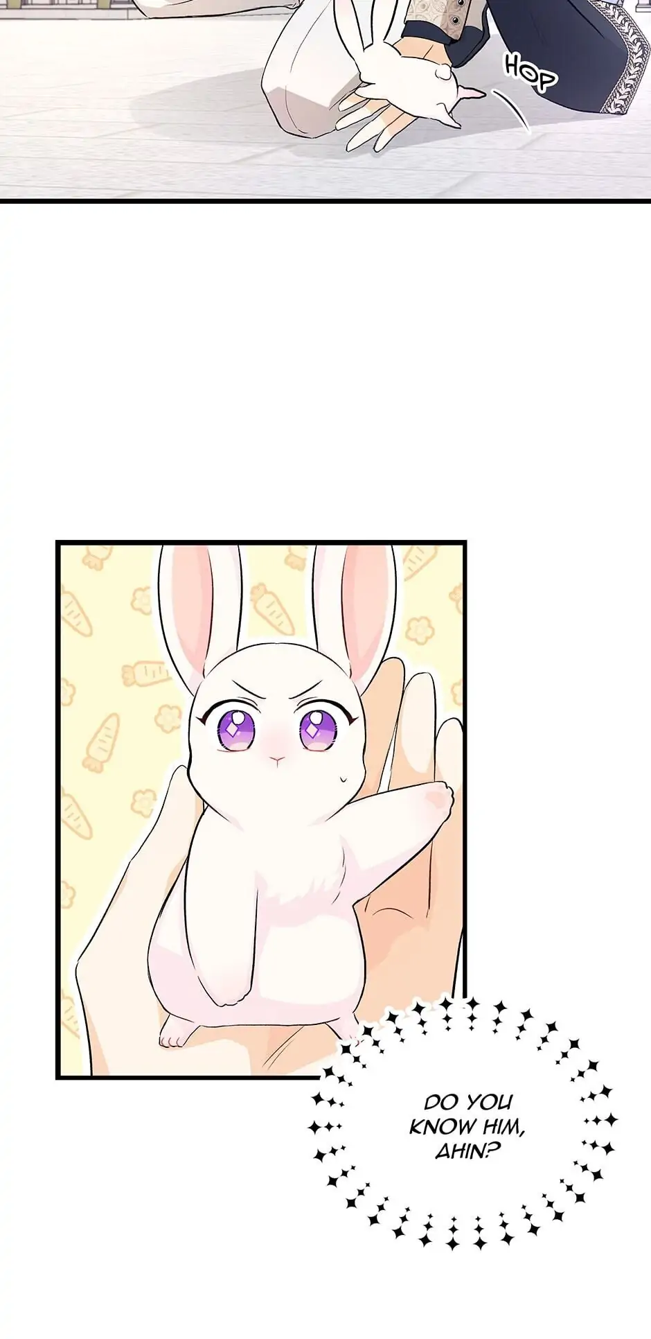 Read The Symbiotic Relationship Between the Rabbit and the Black Panther En Manga Online