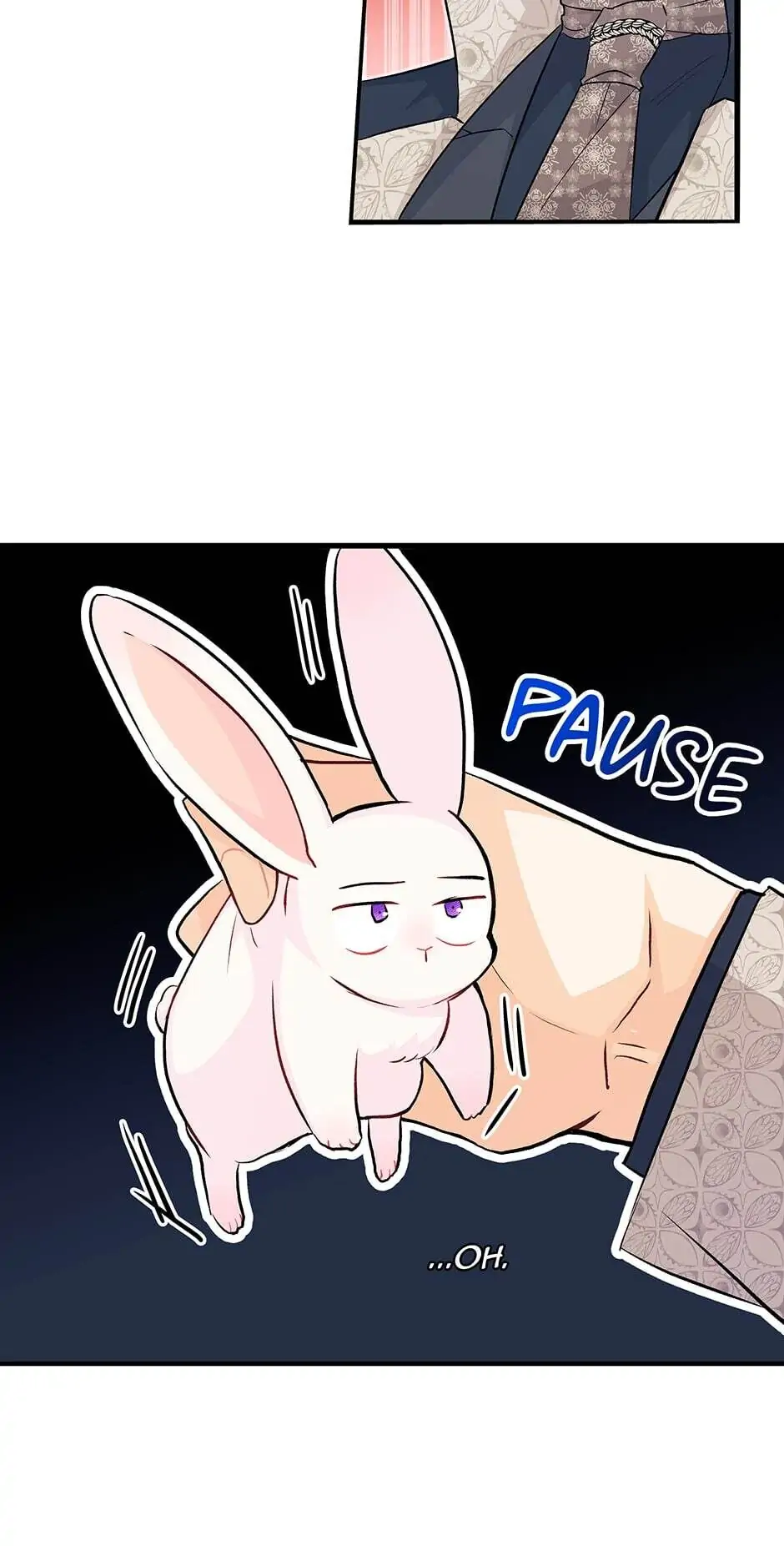 Read The Symbiotic Relationship Between the Rabbit and the Black Panther En Manga Online