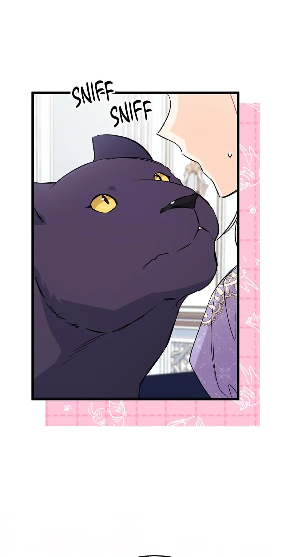Read The Symbiotic Relationship Between the Rabbit and the Black Panther En Manga Online