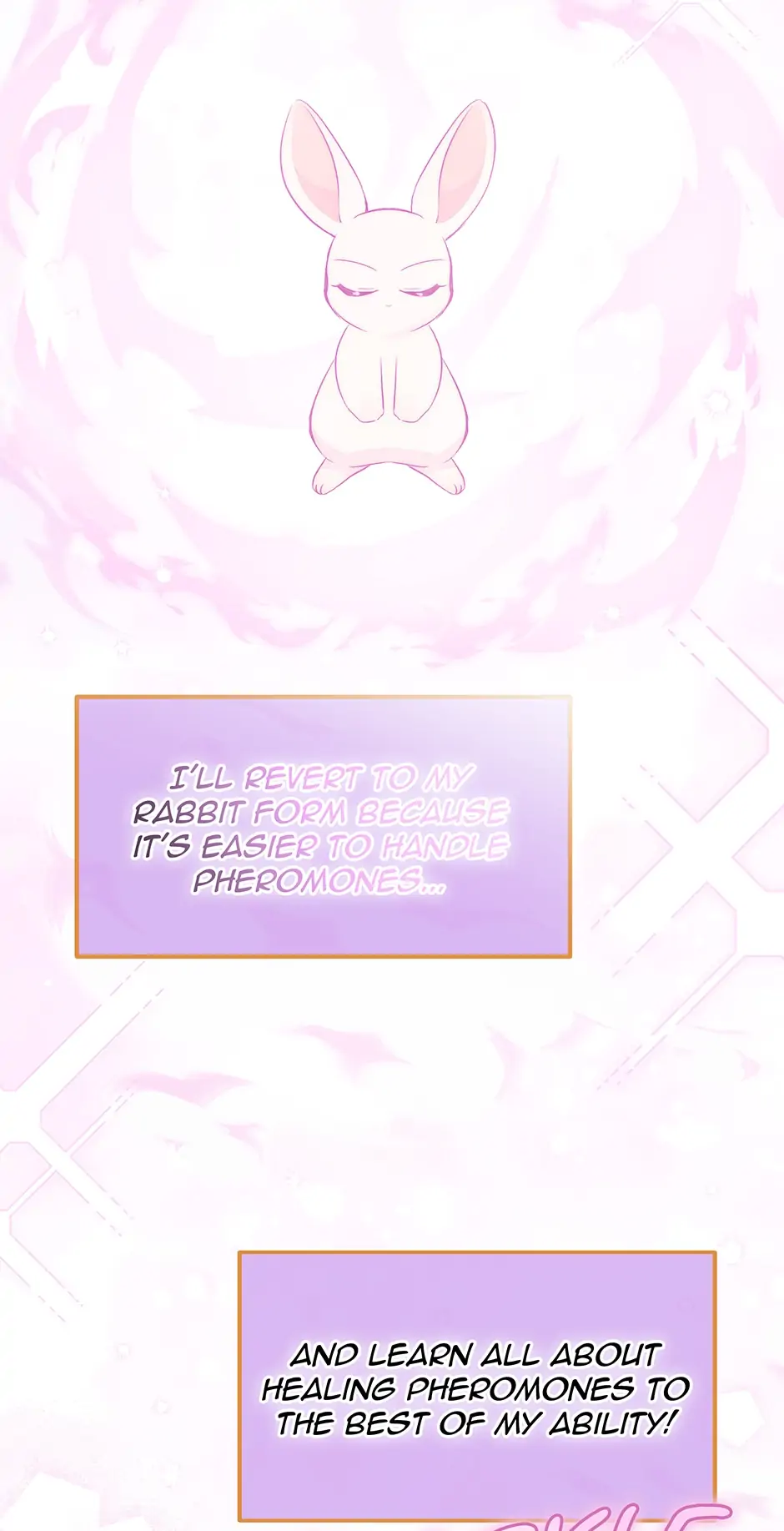 Read The Symbiotic Relationship Between the Rabbit and the Black Panther En Manga Online