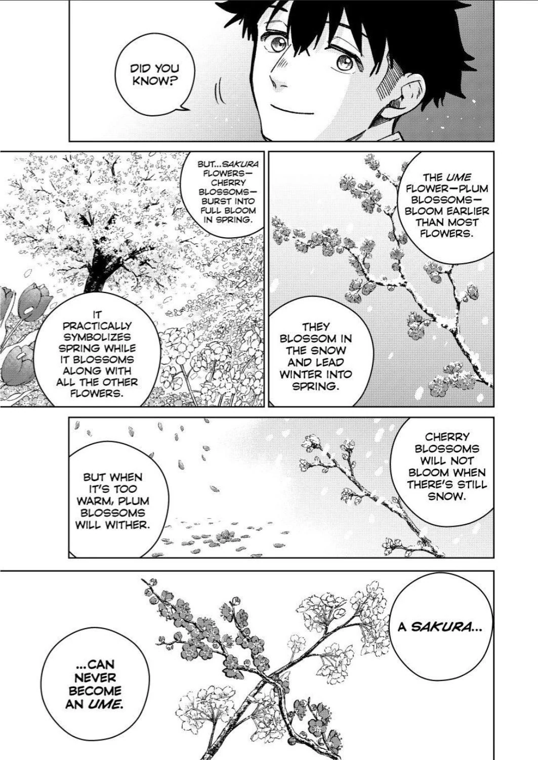 Read Wind Breaker En Manga Online