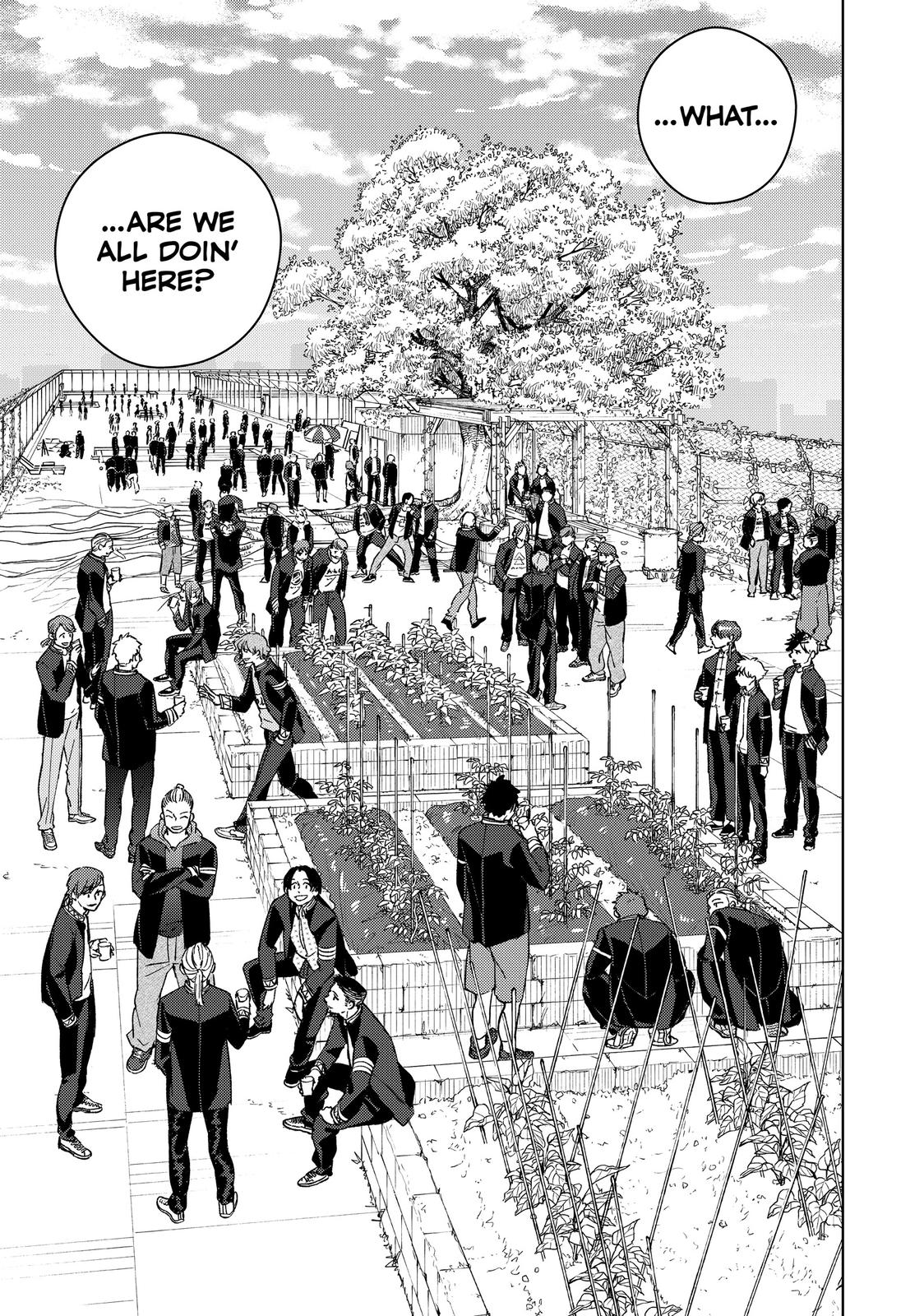 Read Wind Breaker En Manga Online