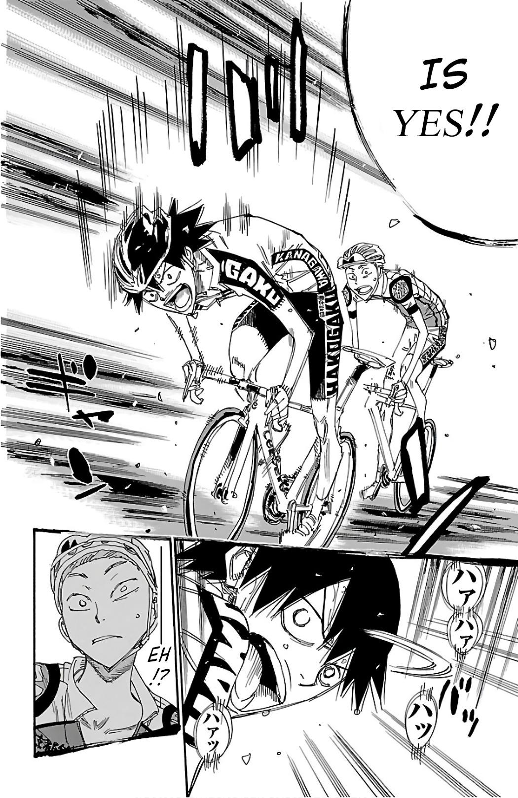 Read Yowamushi Pedal En Manga Online