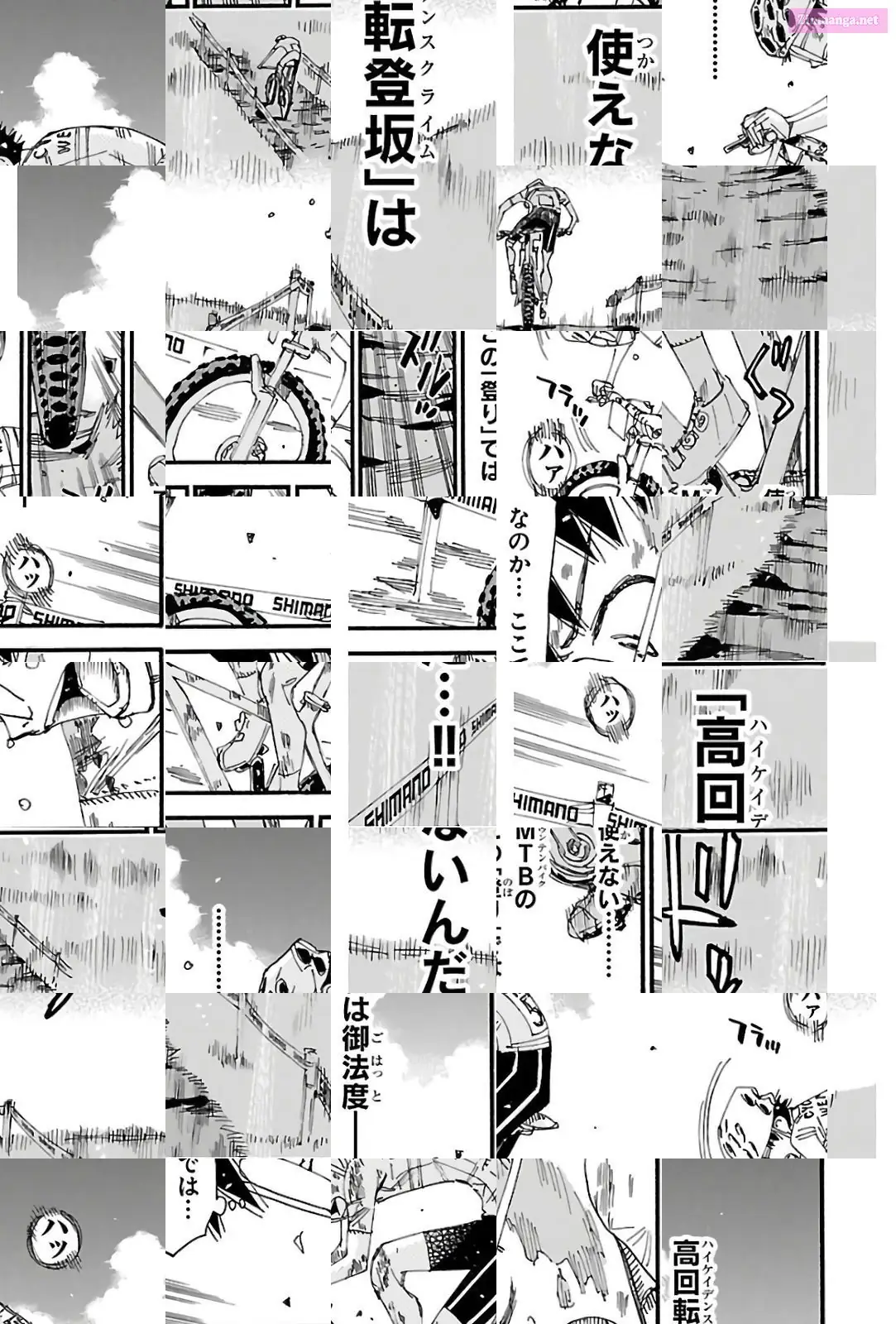 Read Yowamushi Pedal En Manga Online
