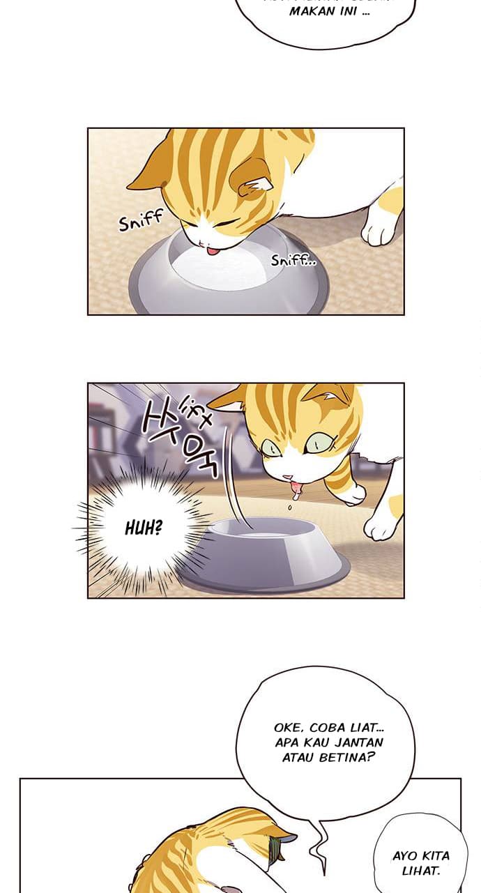 Read Eleceed id Manga Online