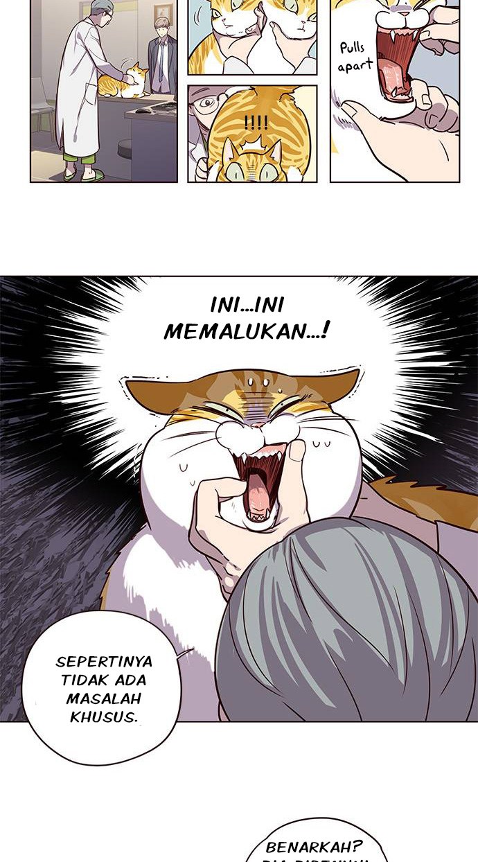 Read Eleceed id Manga Online