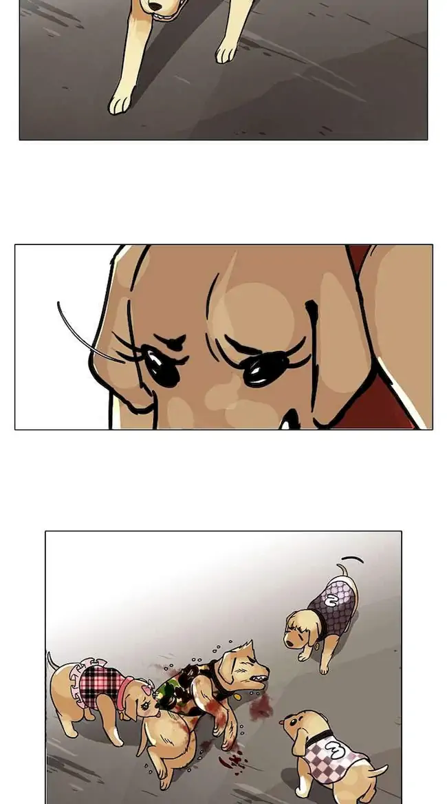 Read Lookism id Manga Online
