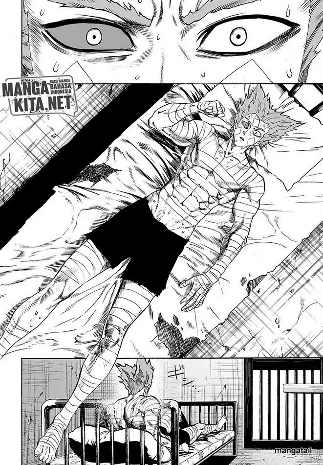 Read One Punch Man id Manga Online