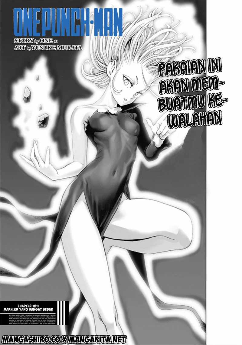 Read One Punch Man id Manga Online