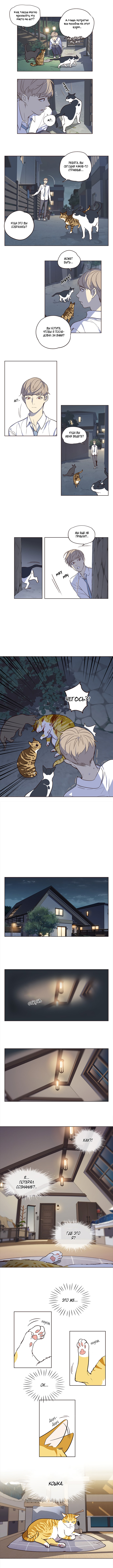 Read Элисед Eleceed Ru Manga Online