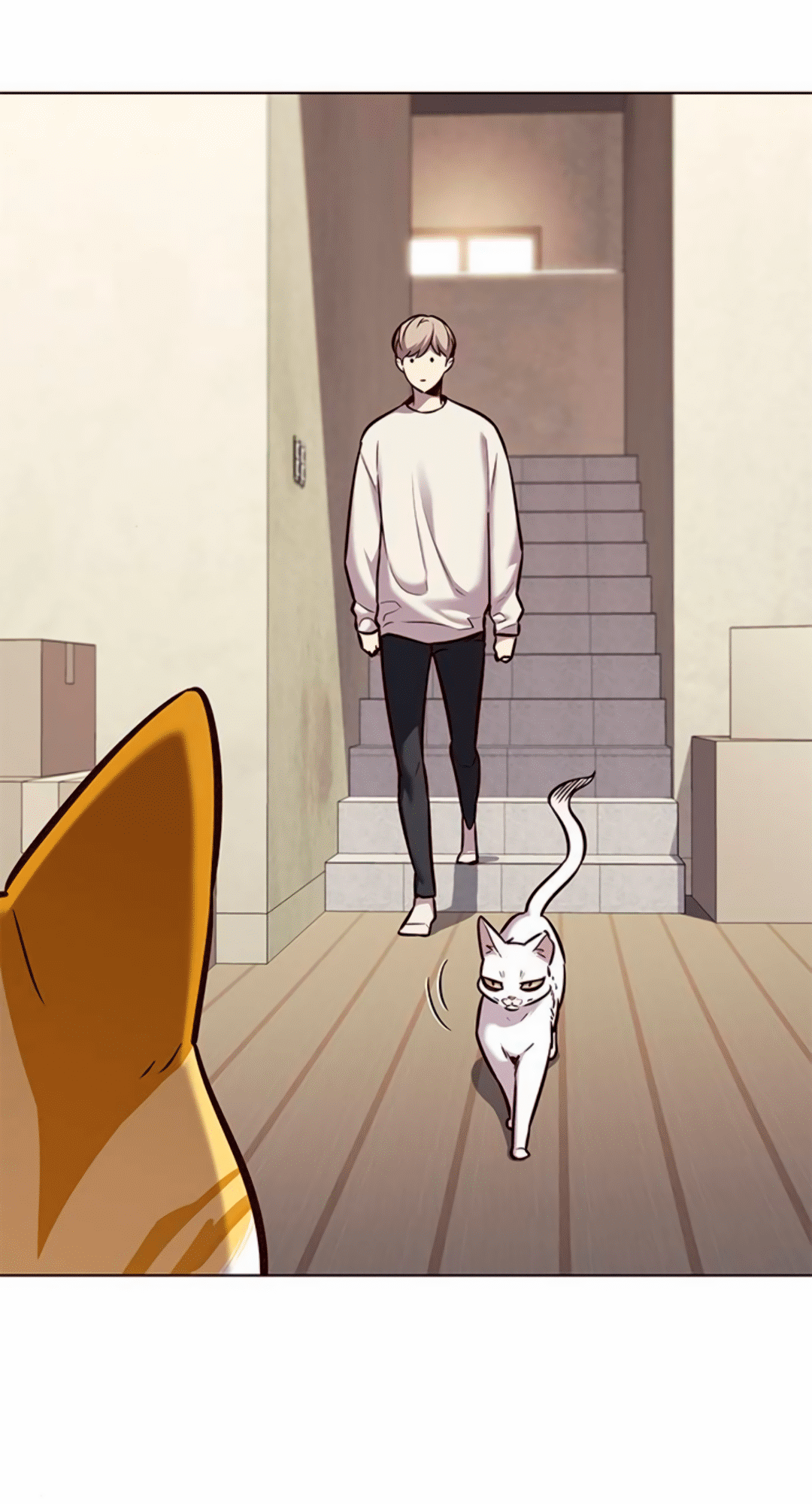 Read Элисед Eleceed Ru Manga Online