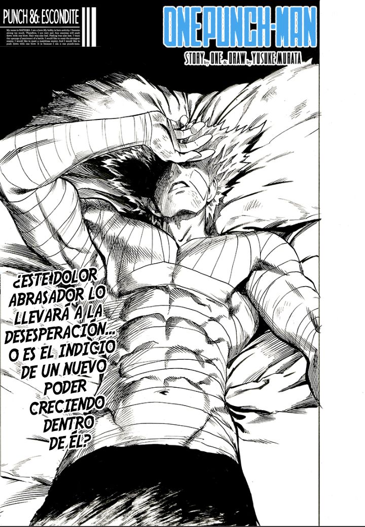 Read One Punch Man Es Manga Online