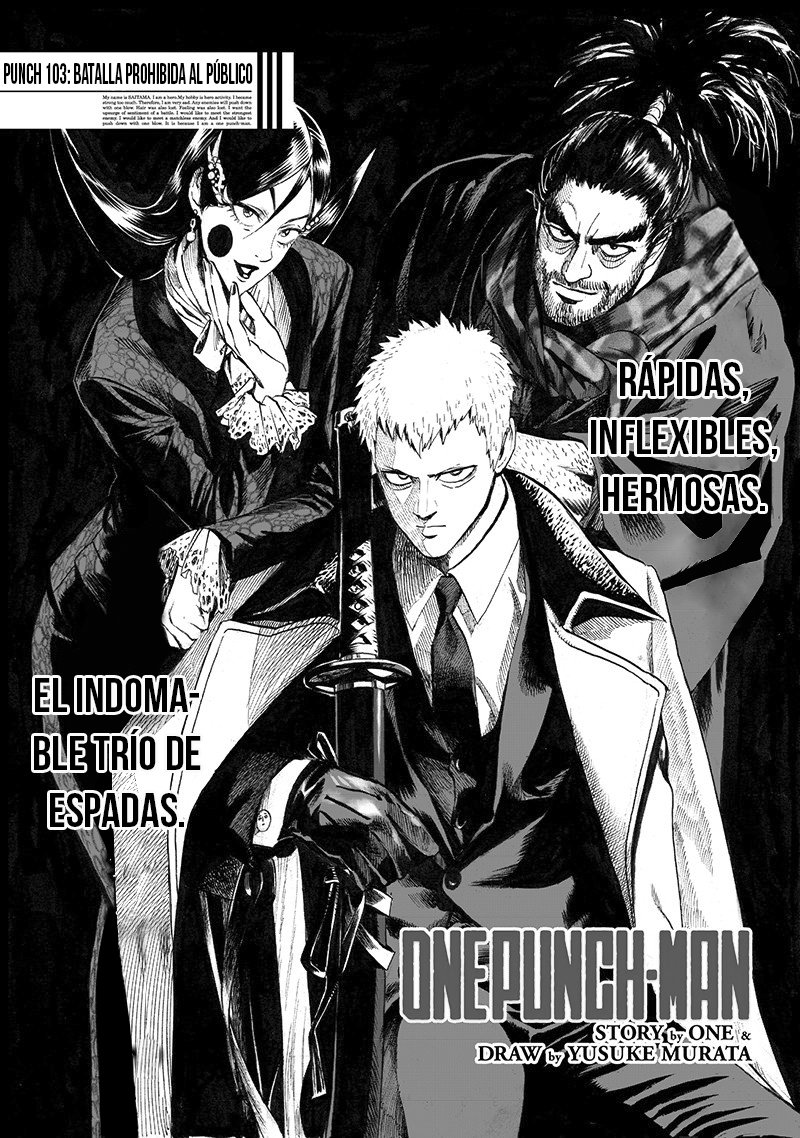 Read One Punch Man Es Manga Online