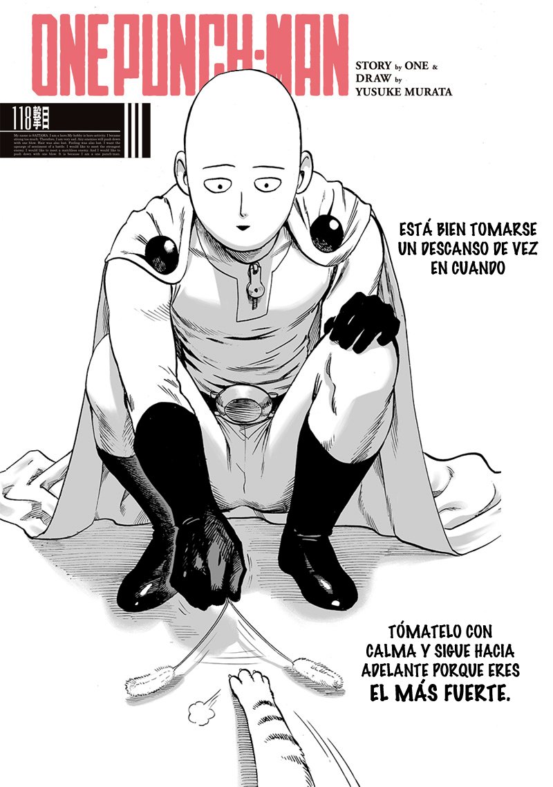 Read One Punch Man Es Manga Online