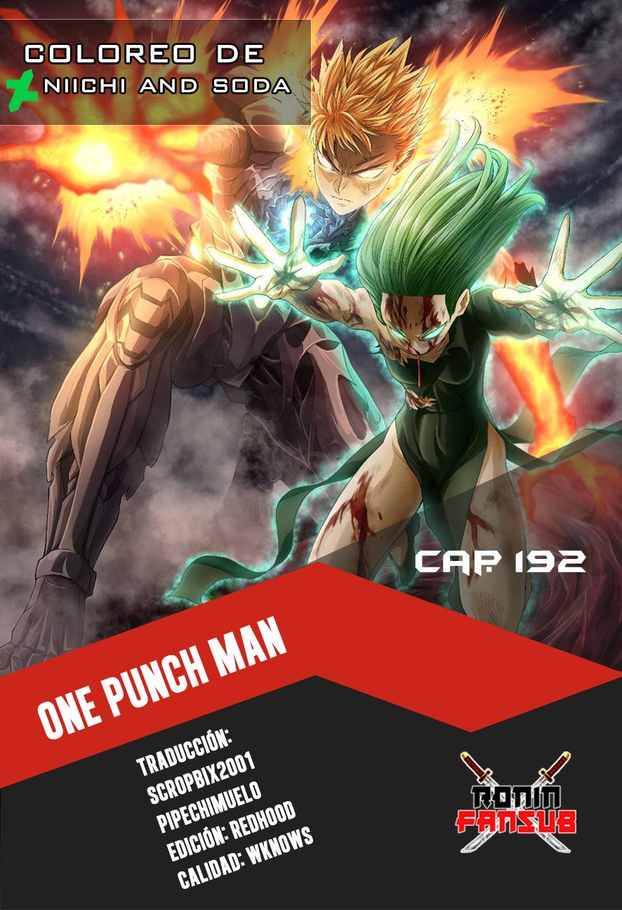 Read One Punch Man Es Manga Online