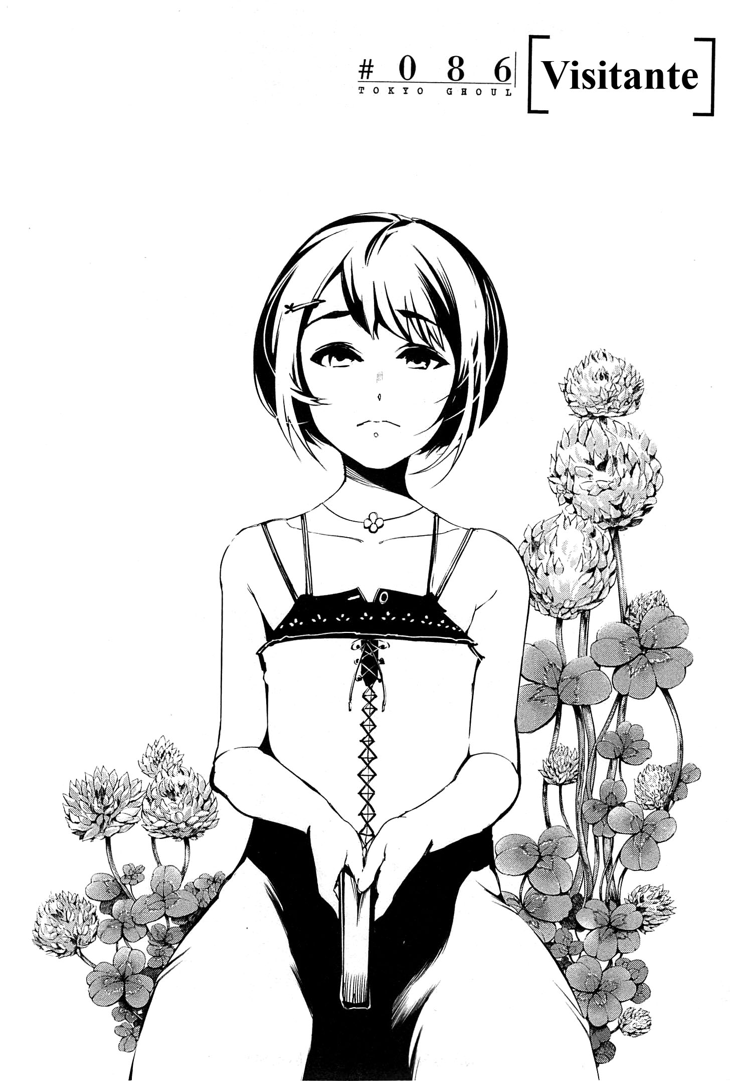 Read Tokyo Ghoul Es Manga Online